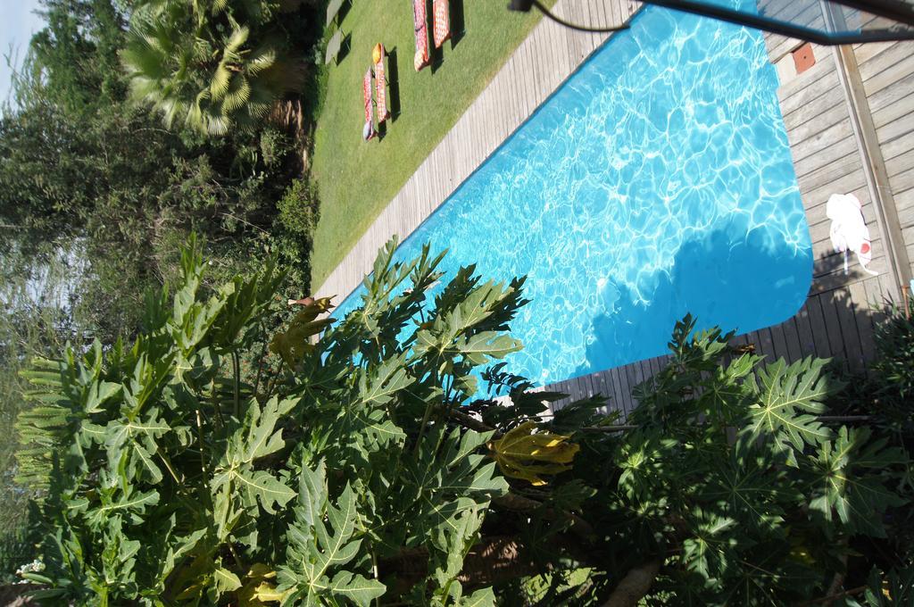 Meru House Lekisilai Arusha Eksteriør bilde